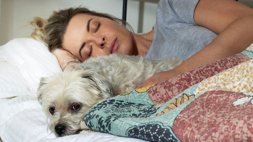Woman asleep in bed with dog at her side