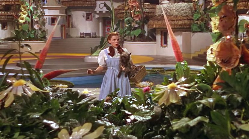 The Wizard of Oz 1