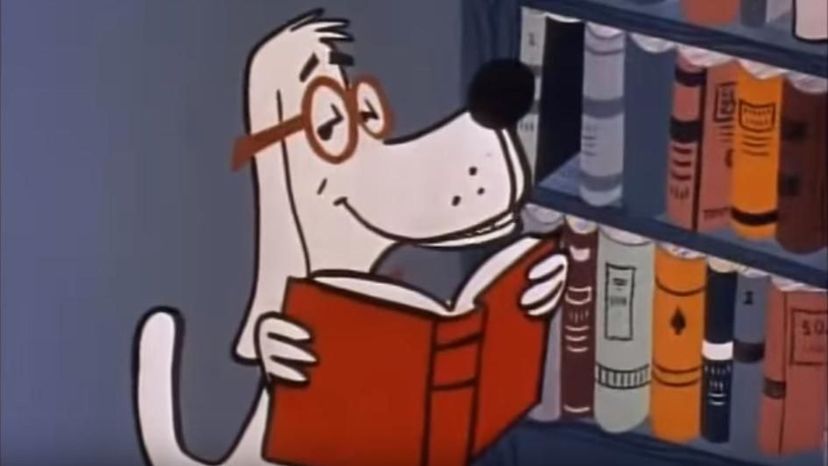 What kind of dog is Mr. Peabody?