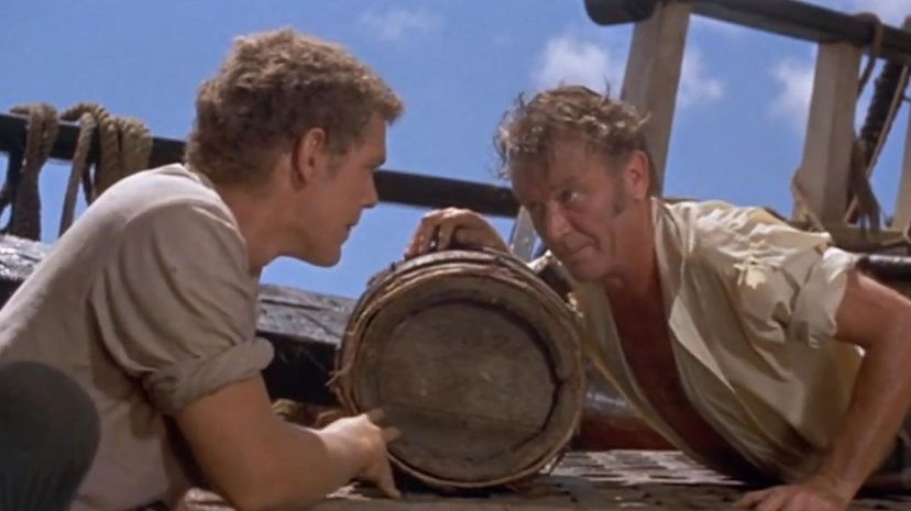 Swiss Family Robinson