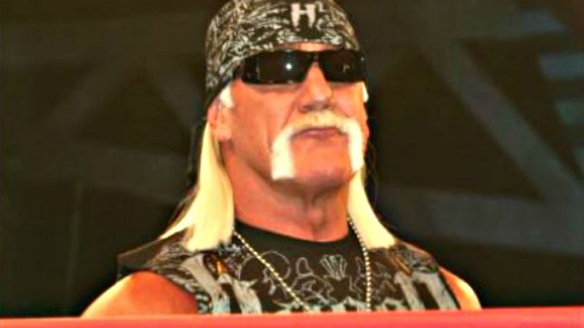 Hulk Hogan