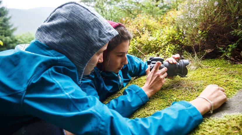 Outdoor photography