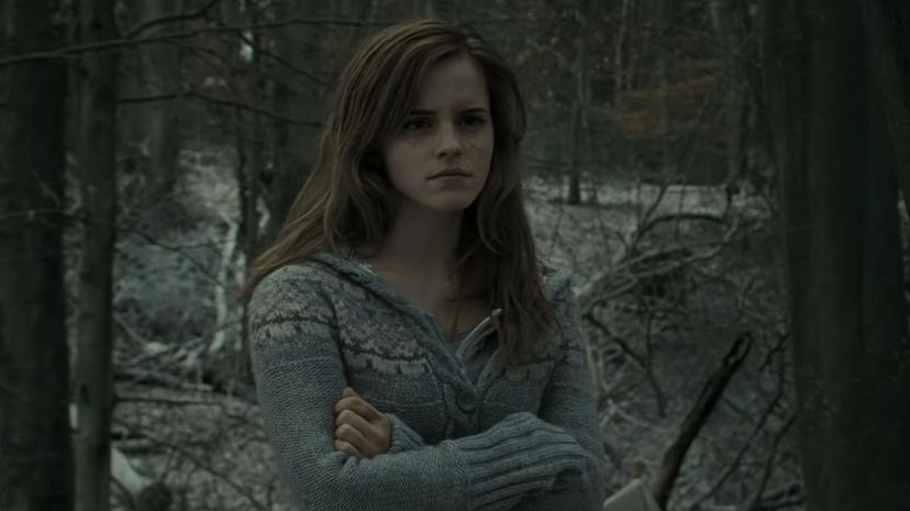 Hermione Granger - Deathly Hallows