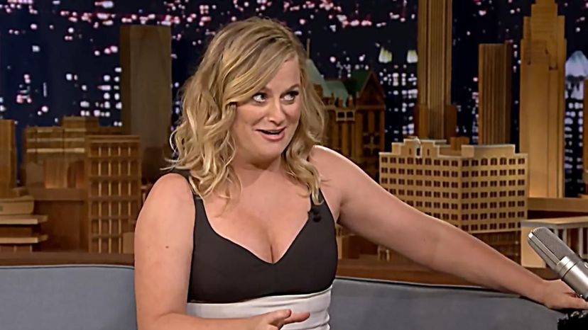 Amy Poehler