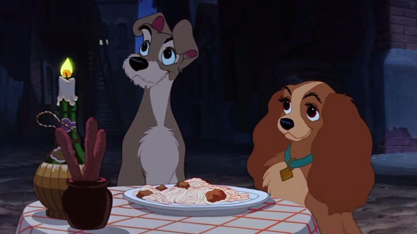9 - Lady or Tramp