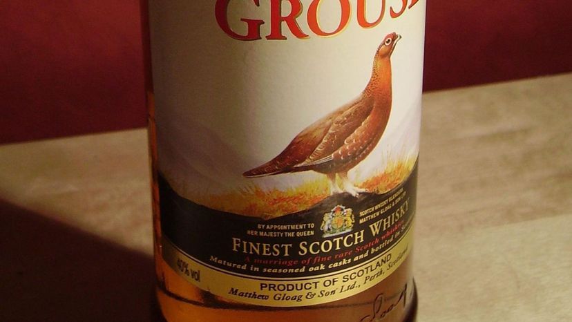Famous Grouse Scotch Whiskey
