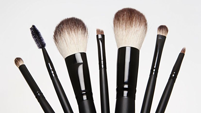 Q16 Brush