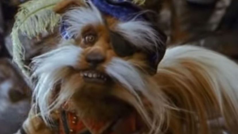 Sir Didymus