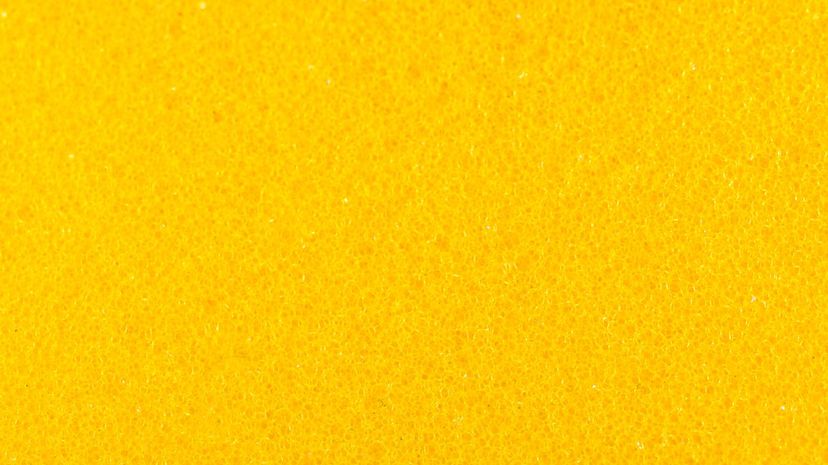 Kitchen Sponge