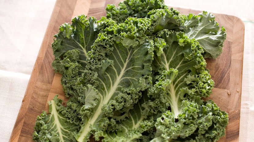 23 kale GettyImages-182668418