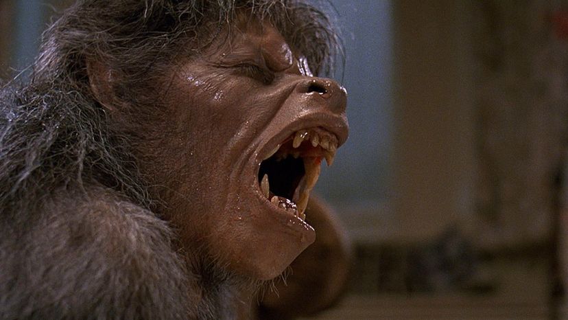 An American Werewolf in London 1981