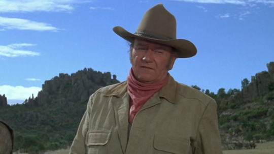 Which John Wayne Character Are You?