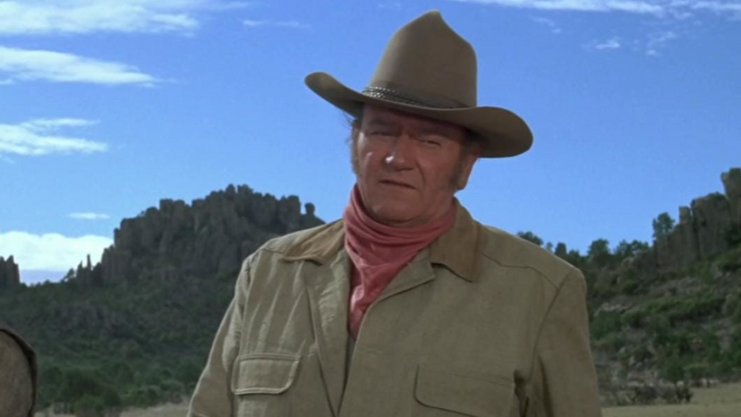 Which John Wayne Character Are You?