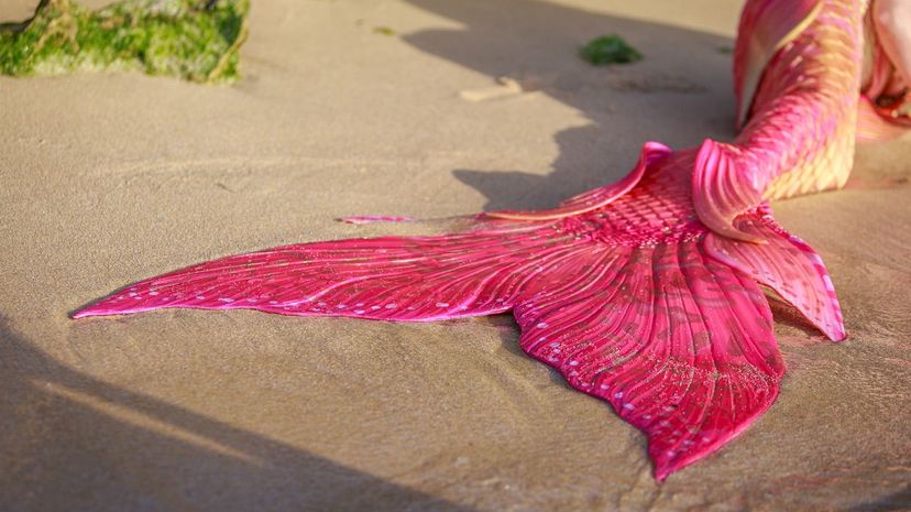 Q 15 - Have you ever actually worn a mermaid tail