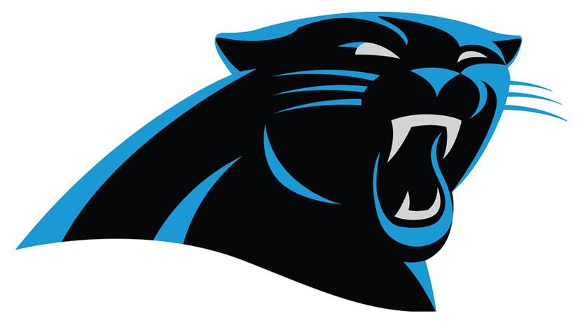 Q 29 Carolina Panthers
