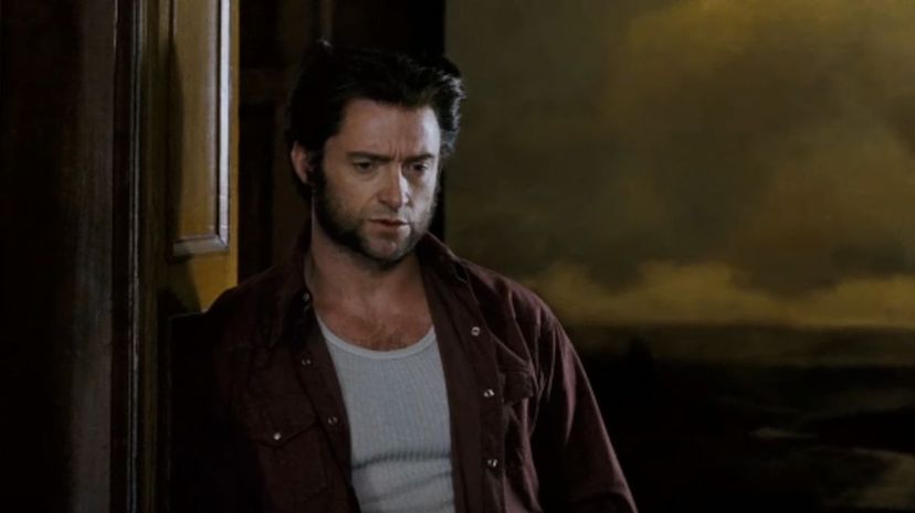 21 wolverine