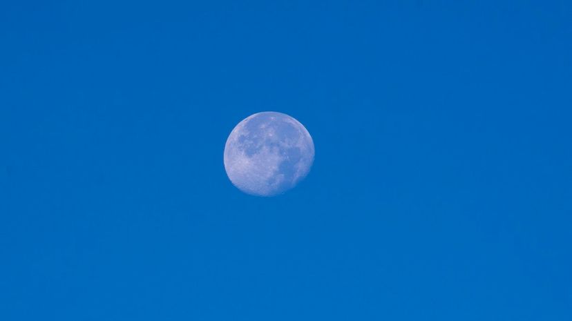 29_blue moon