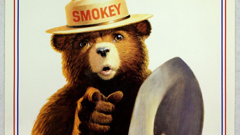 Q 01 Smokey Bear