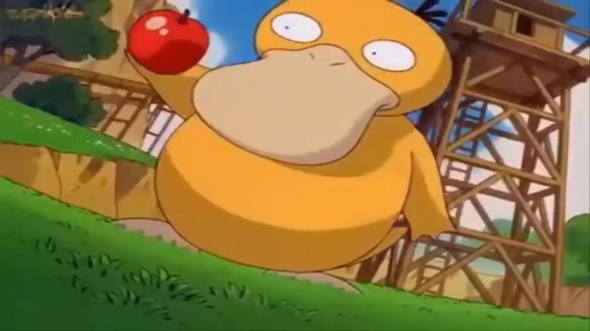 13 - Psyduck