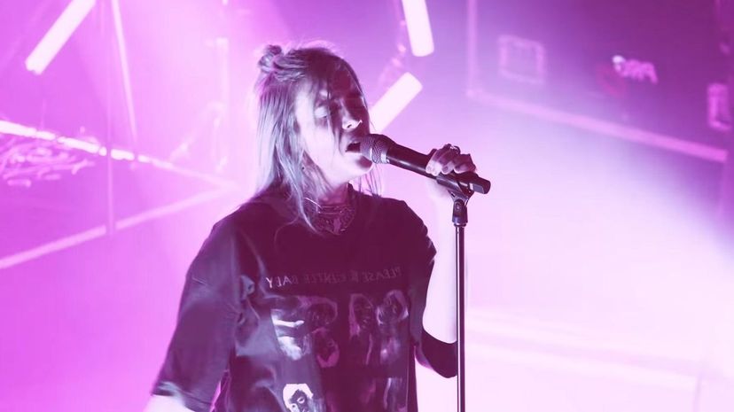 17 - Billie Eilish - wish you were gay (Live)