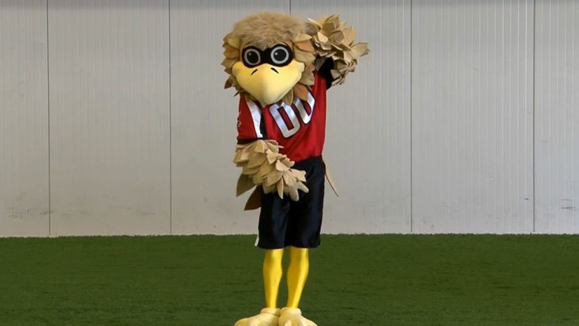 Real World NFL Mascots (Pictures) Quiz - By CDB1986