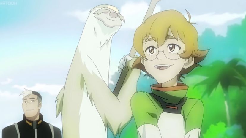 Paladin Pidge inquisitive