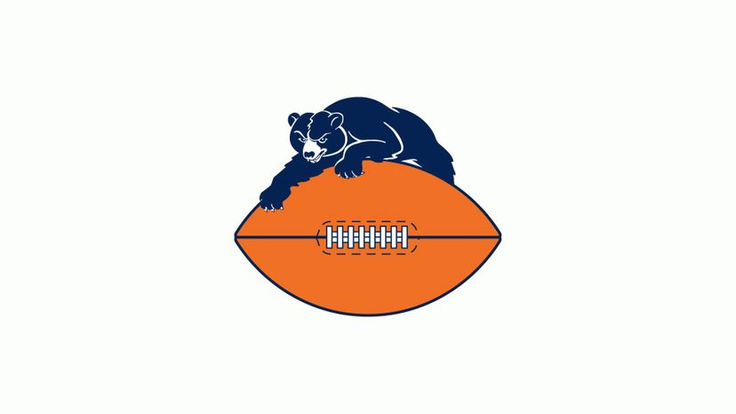 Chicago Bears 46-73