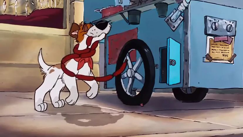Hot dogs from Oliver and Company
