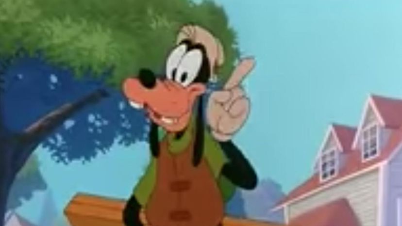 Goofy