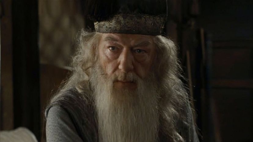 Albus Dumbledore15