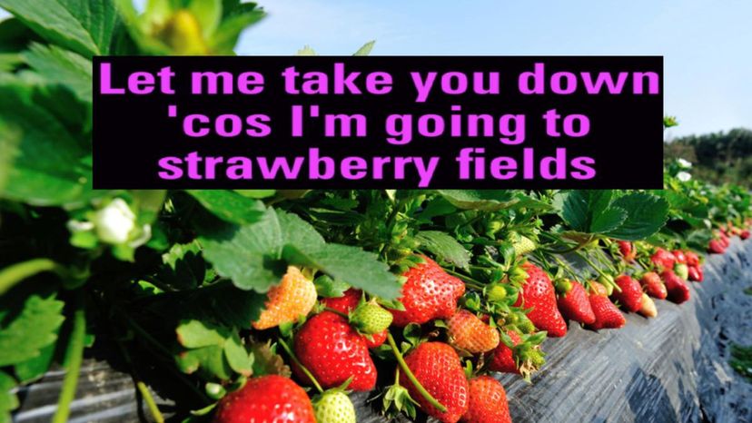 Strawberry Fields Forever