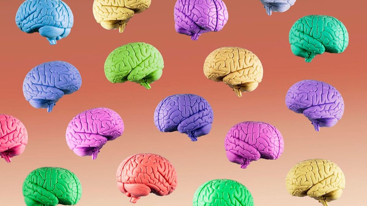 What Is Your Brain’s True Color Preference? | HowStuffWorks