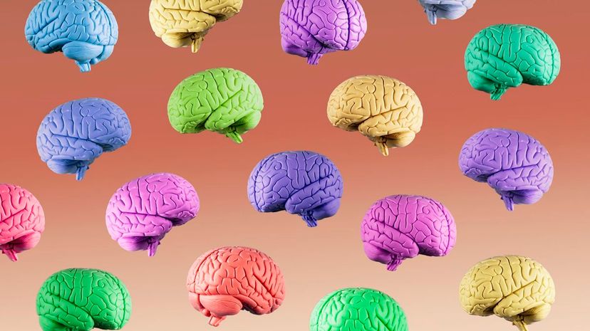 What Is Your Brain’s True  Color Preference?