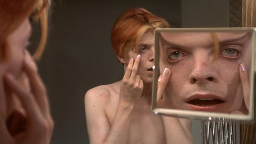 The Man Who Fell to Earth