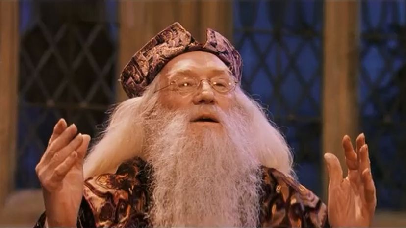 Albus Dumbledore13