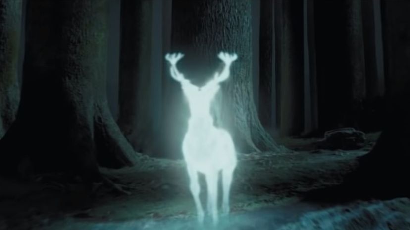 12_Patronus