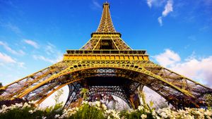 What's Your Paris IQ?