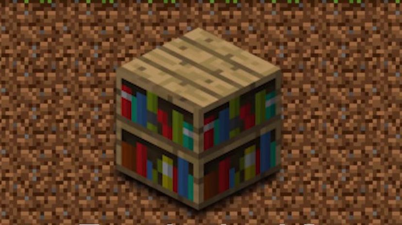 Bookshelf Minecraft