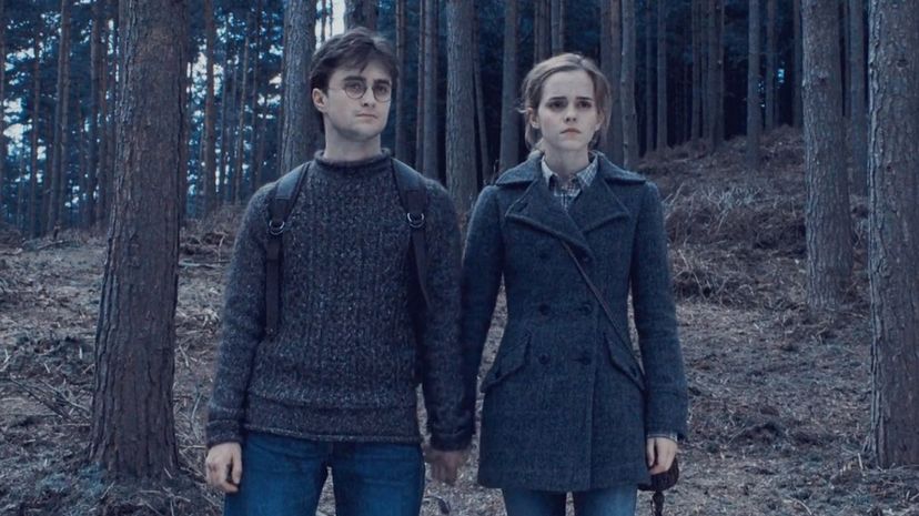 Who Would Your "Harry Potter" Best Friend Be?