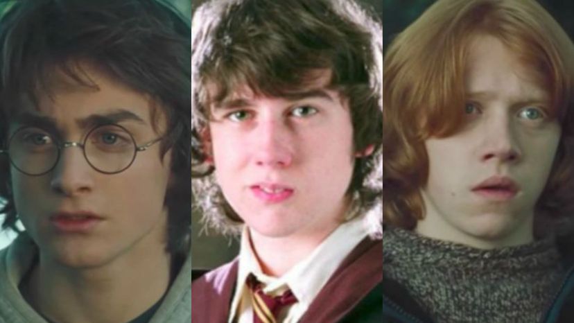 Which Harry Potter Guy Would You End Up With?