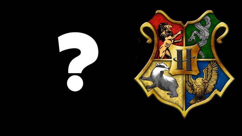 Which Hogwarts House Would You Belong To?