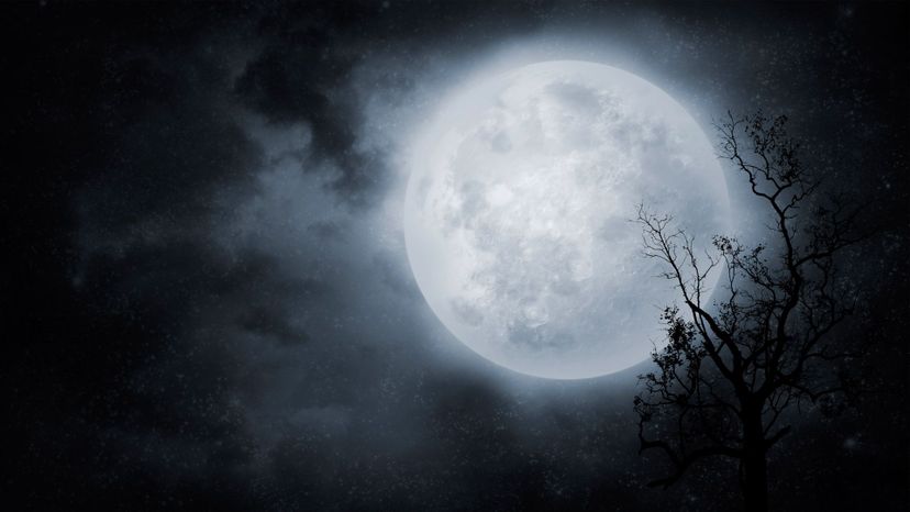 Can You Answer These Basic Questions About the Moon?