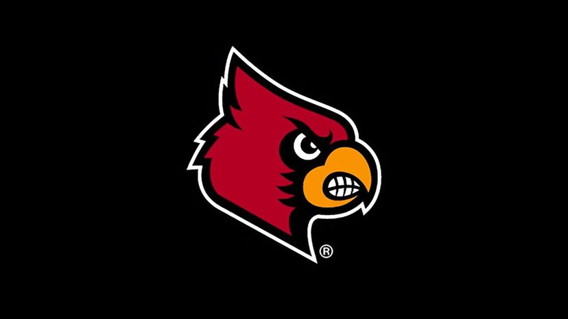 Louisville Cardinals