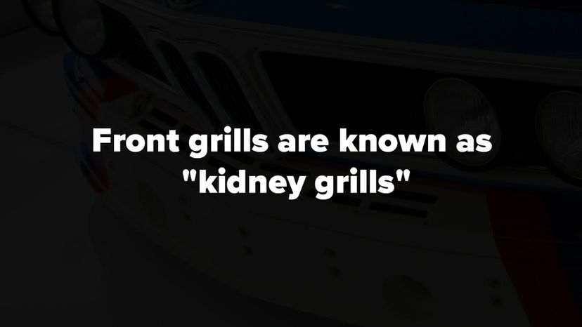 front grills are known as kidney grills