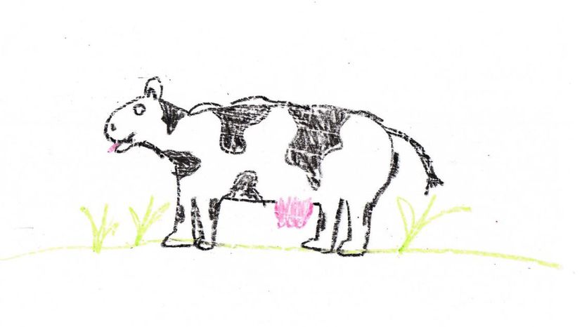 Cow