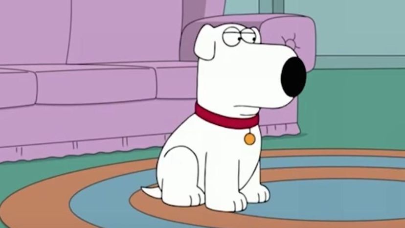 Brian Griffin