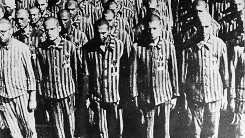 33-Buchenwald