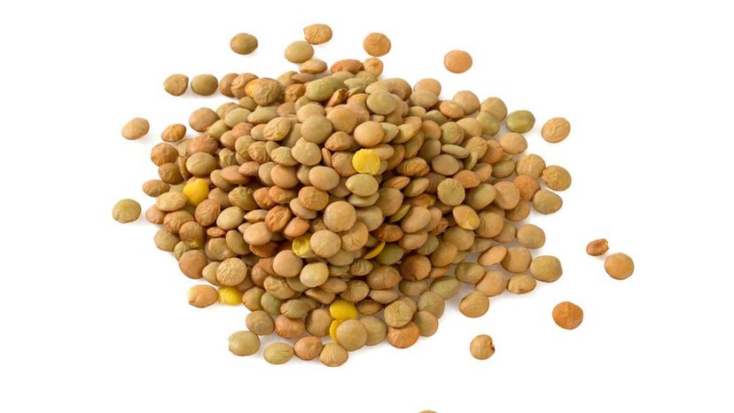 Lentils