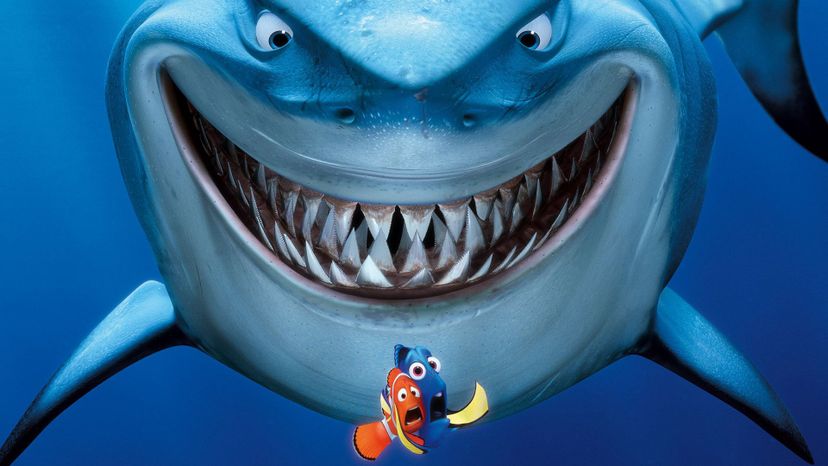 Which Finding Nemo character are you? | Zoo