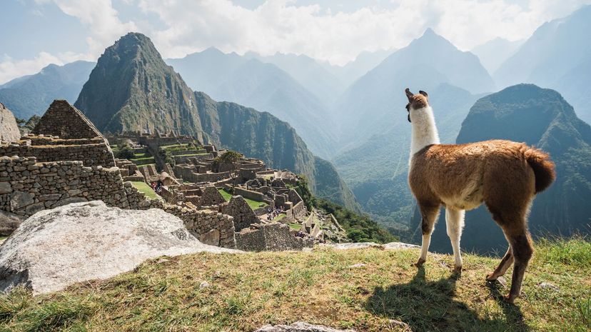 Machu Picchu